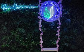 Hotel Jardín Cancún